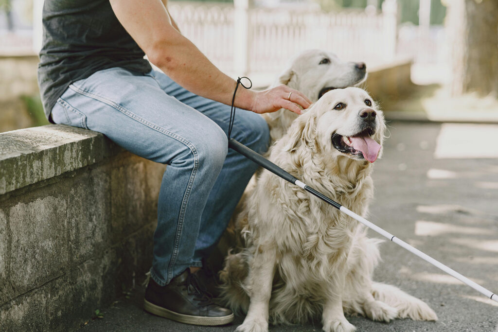 A person with a cane and two dogs